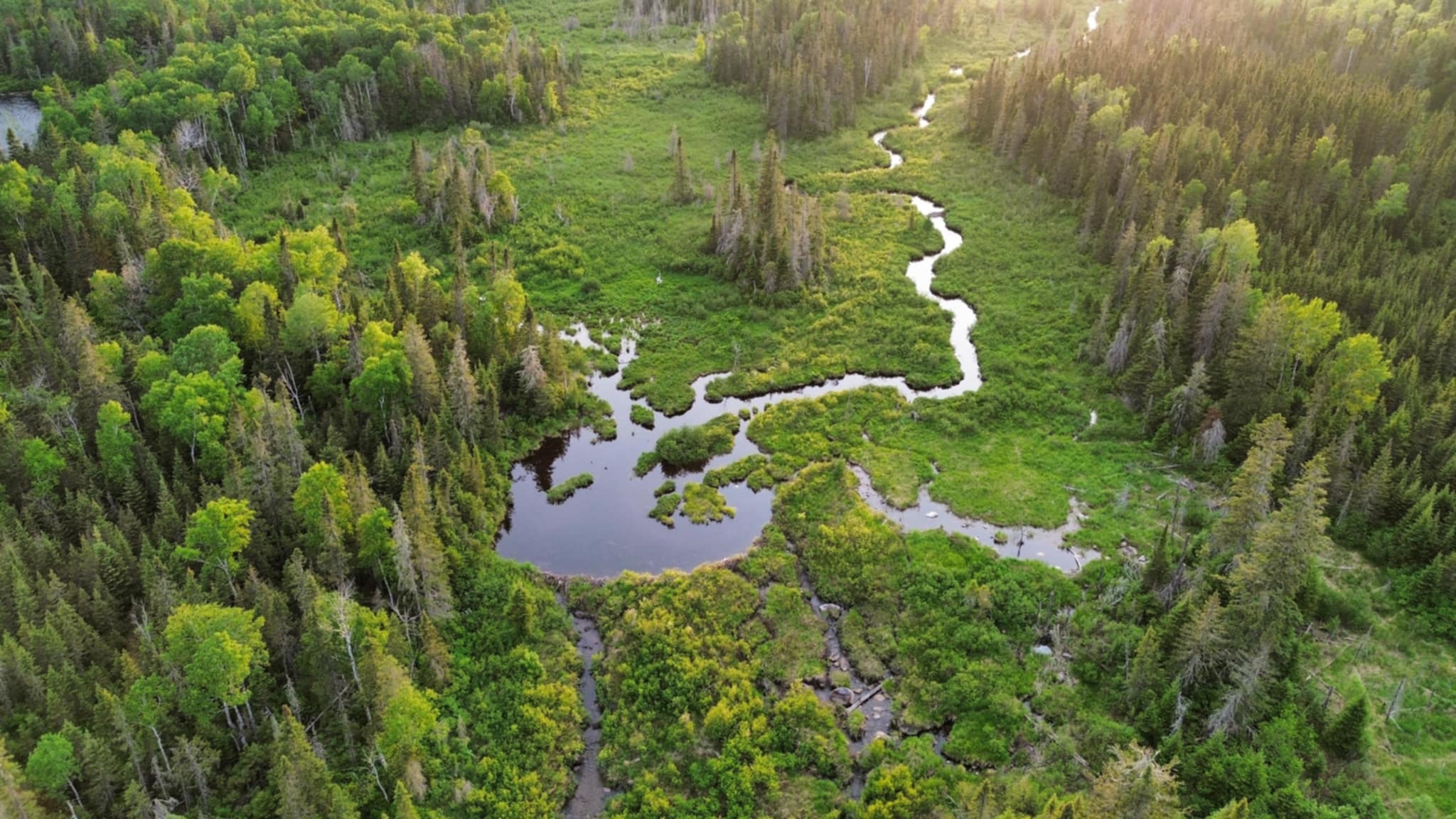 Programme de reconnaissance – Engagé pour la biodiversité
