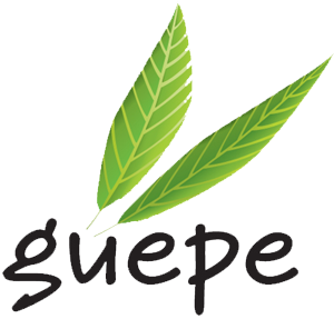 Logo Guêpe