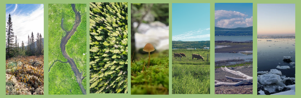 Plan intégré de conservation des milieux naturels et de la biodiversité